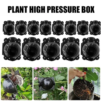 הצמח מעודד ציוד בלחץ גבוה רביה הכדור לשתול זרע השתלת השתרשות מכשיר שתיל האינקובטור ציוד גינון